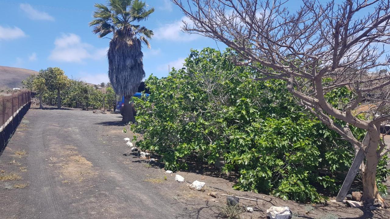 Finca Relax, Sea View, Oasis Vasiliko, La Asomada Tías Buitenkant foto